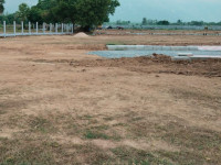 Plots View