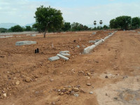 Plots