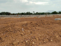 Plots View