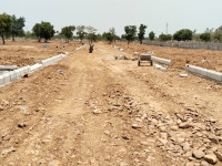 Plots View